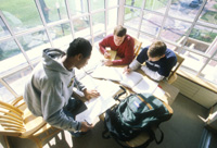 Students in Library