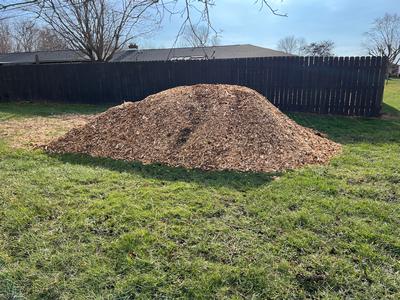 Wood chips FREE