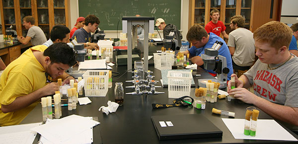 One of the many busy labs in Hays Hall.