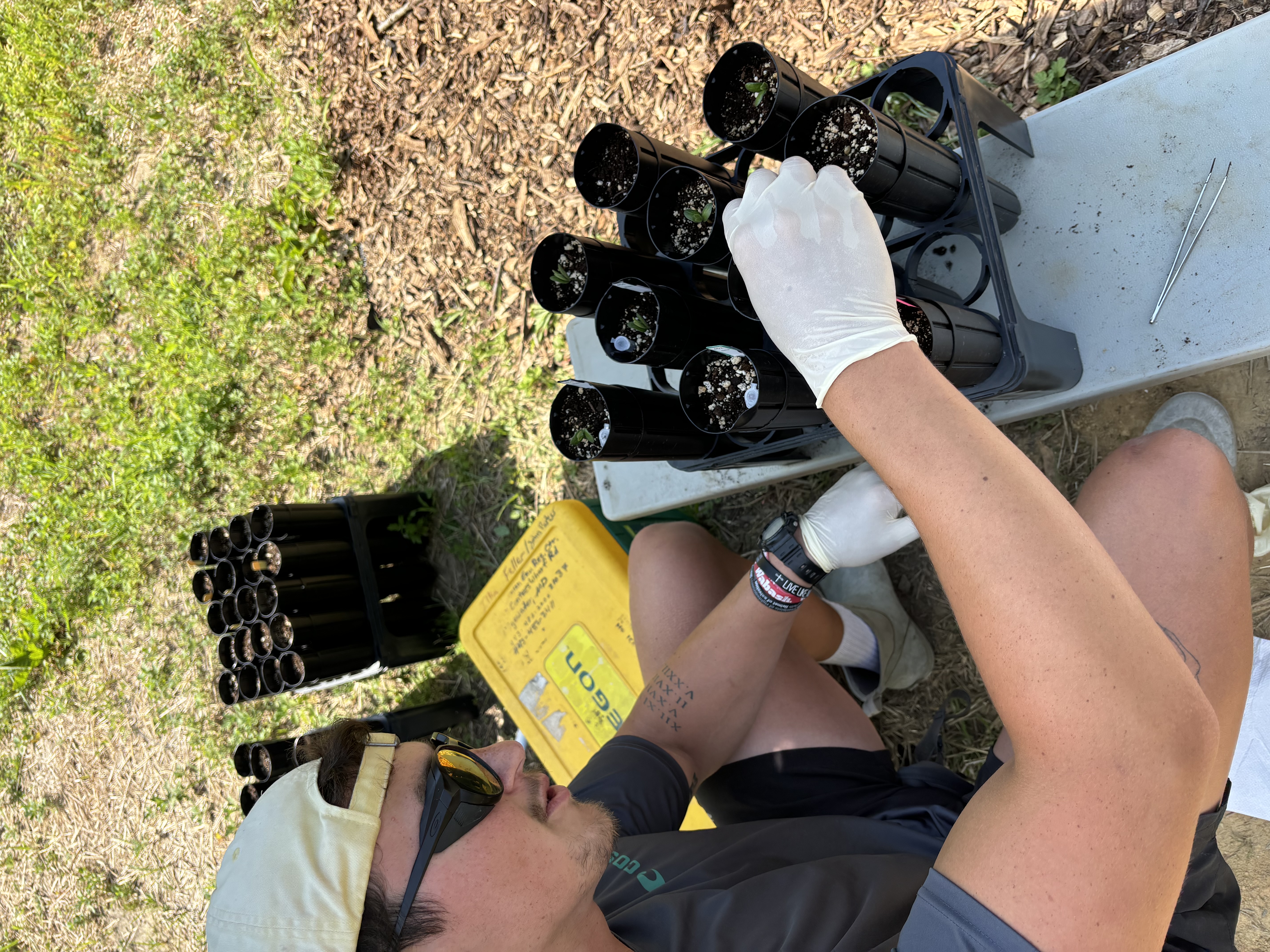 Matthew Lepper ’25 interned for the BiodiverisTree project, part of the terrestrial ecology lab at the Smithsonian Environmental Research Center (SERC).